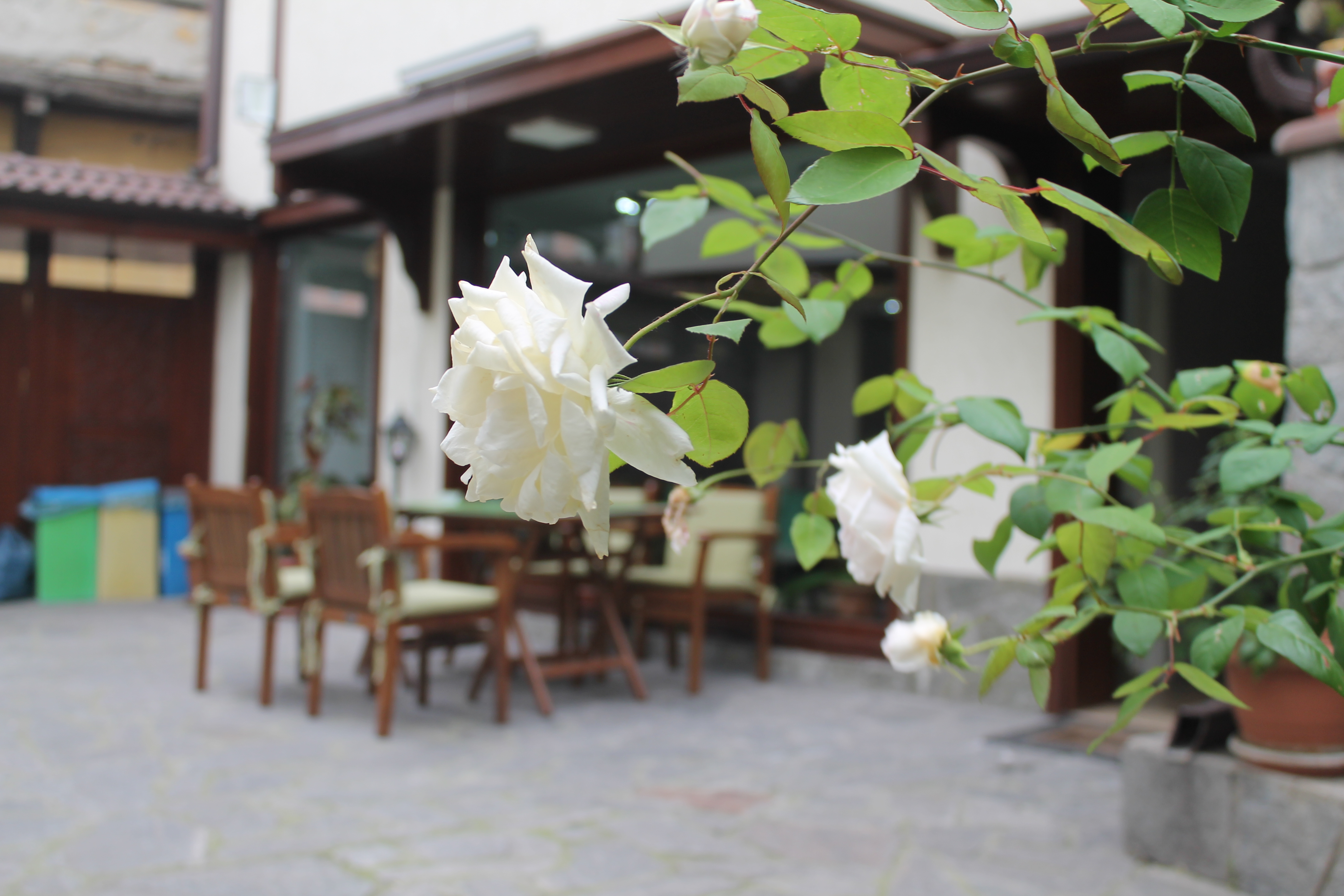 Eşsiz bir Tatil